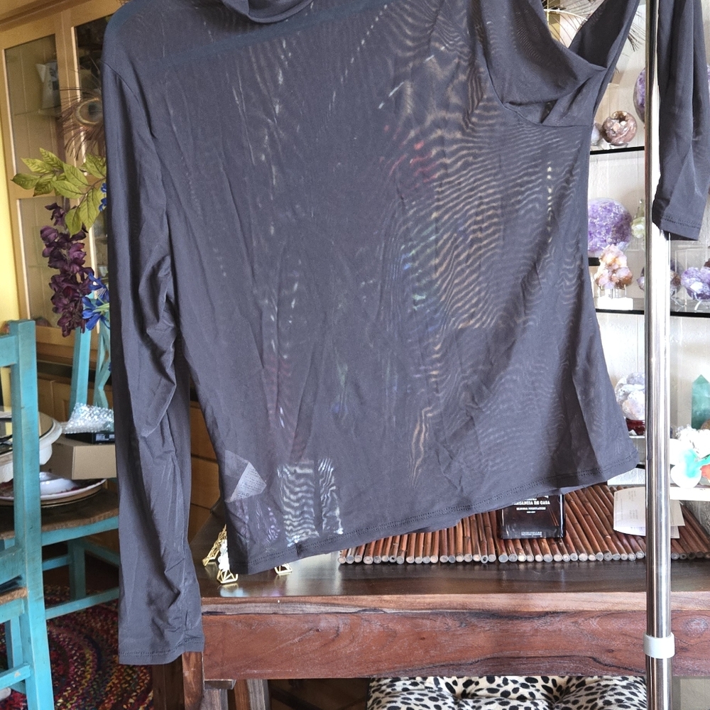 SHEIN Sheer Black Long Sleeve Top
